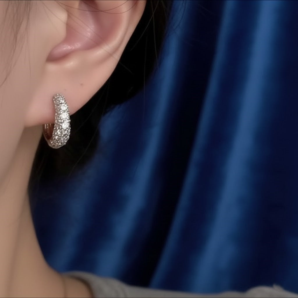 S925 Round Zircon Simple Earrings NYSHK